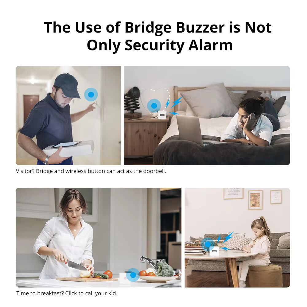 SONOFF ZB Bridge-P: Smart Zigbee 3.0 Hub for 128 Devices, Voice Control & Security